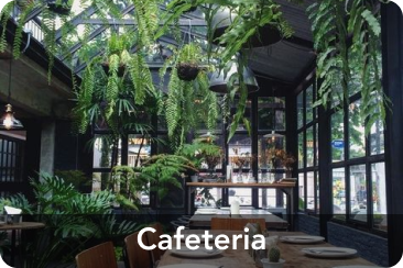 Cafeteria